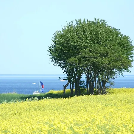 Apartman Klingl Ankerplatz Perle *